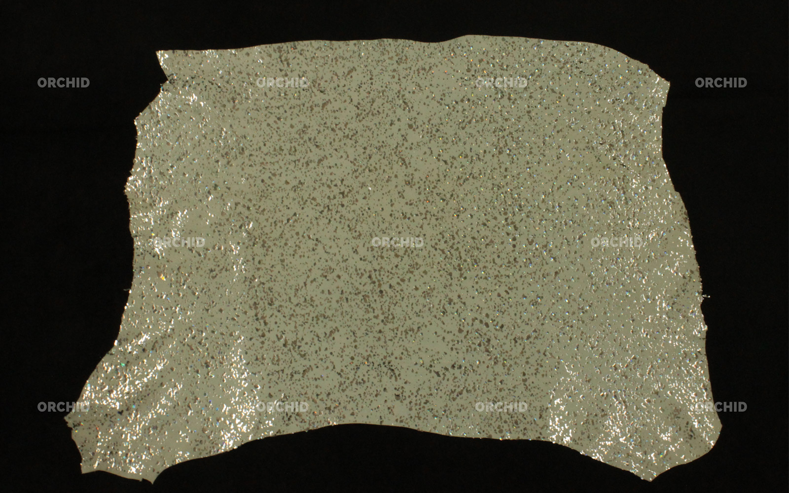 Goat Foil Type6